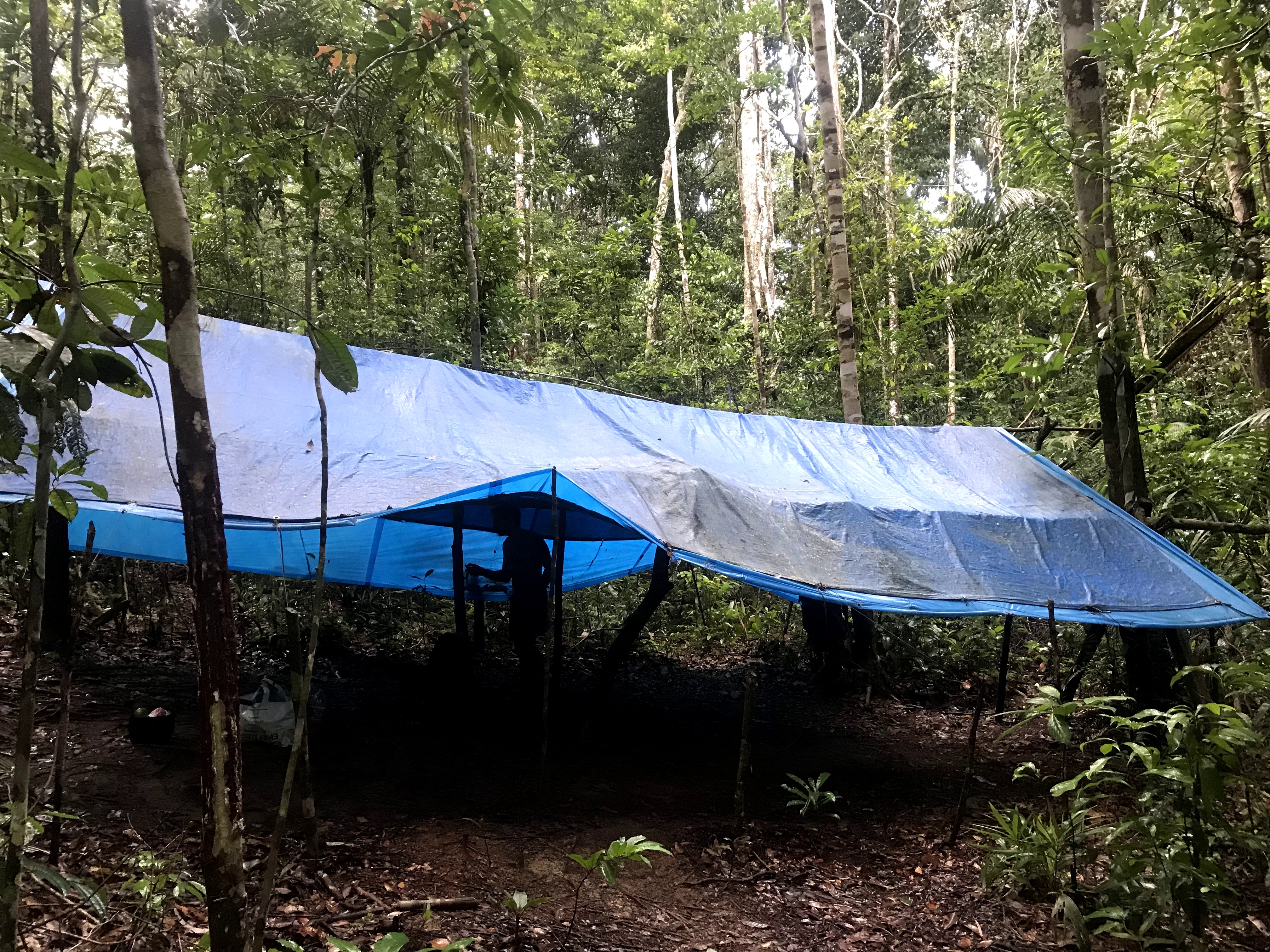 Sobreviviendo 4 días en el Amazonas