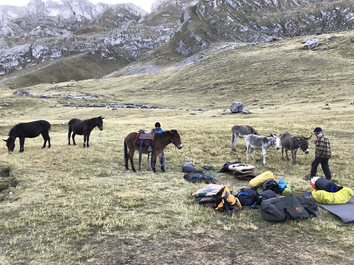 Huayhuash: trek de 8 días entre 4000 y 5000 metros