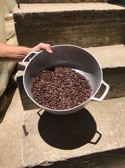 Aventura en el Valle del Cocora