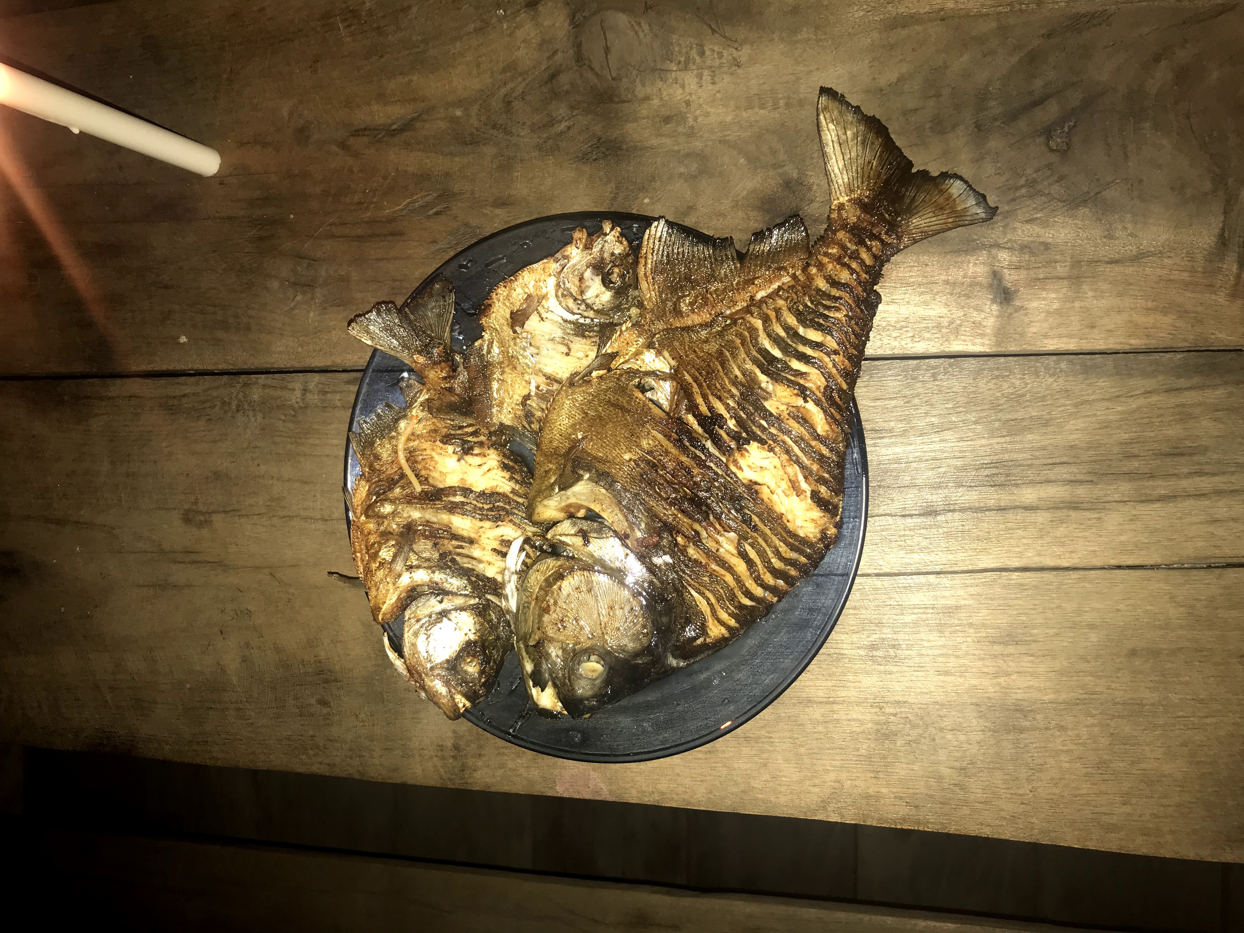 Sobreviviendo 4 días en el Amazonas