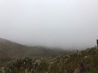 Aventura en el Valle del Cocora