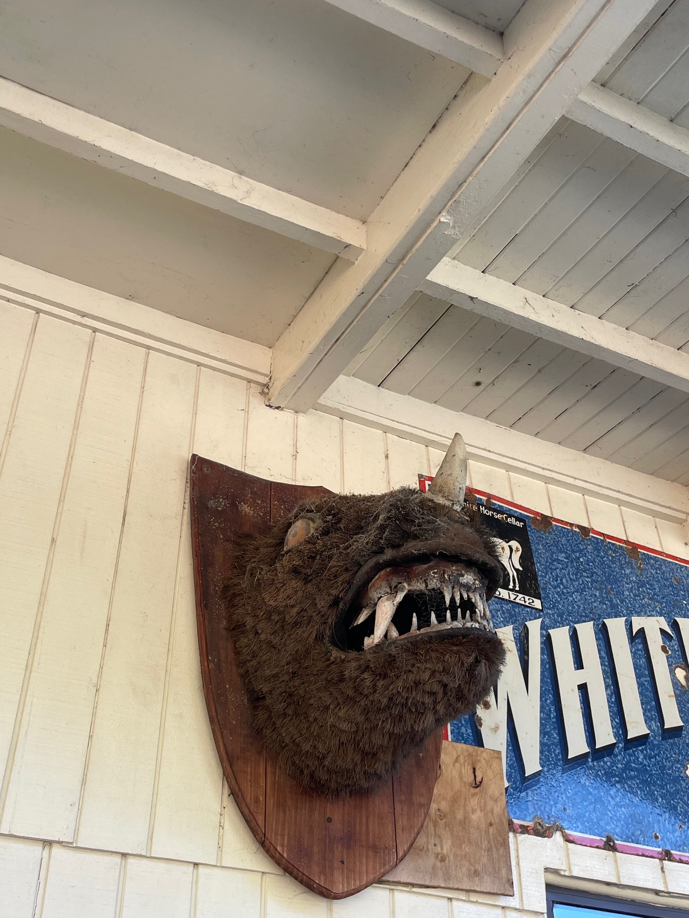 Diluvio en Mildford Track en Nueva Zelanda