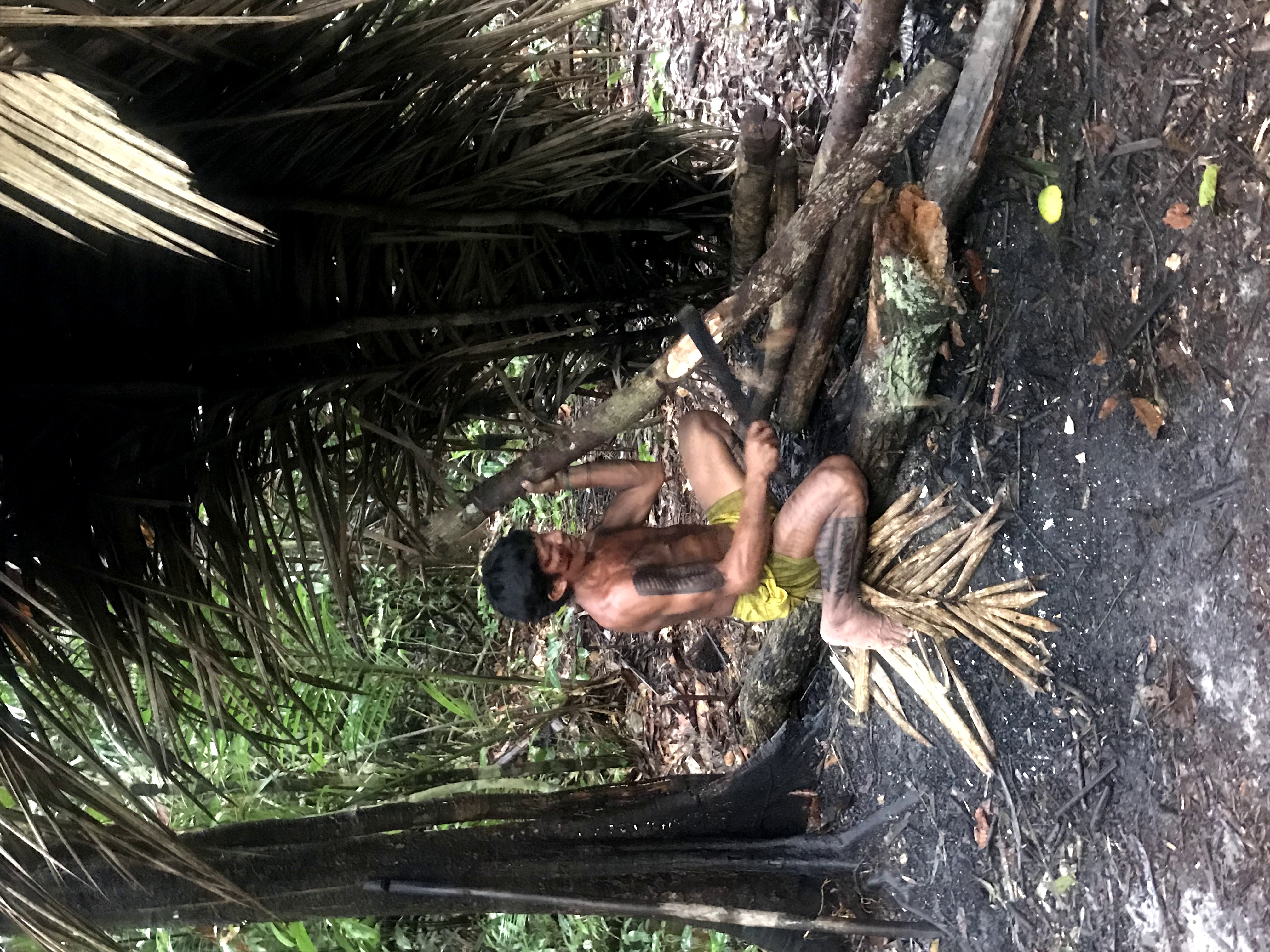 Sobreviviendo 4 días en el Amazonas