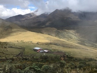 Aventura en el Valle del Cocora