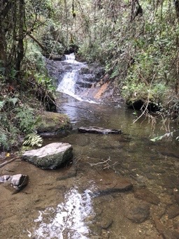 Aventura en el Valle del Cocora