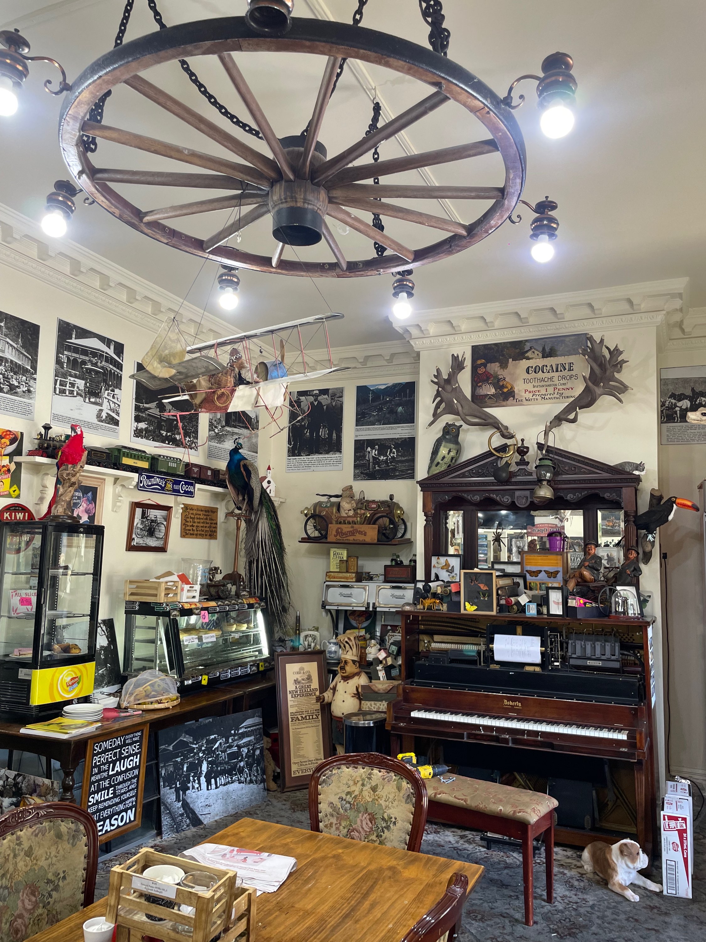 Diluvio en Mildford Track en Nueva Zelanda