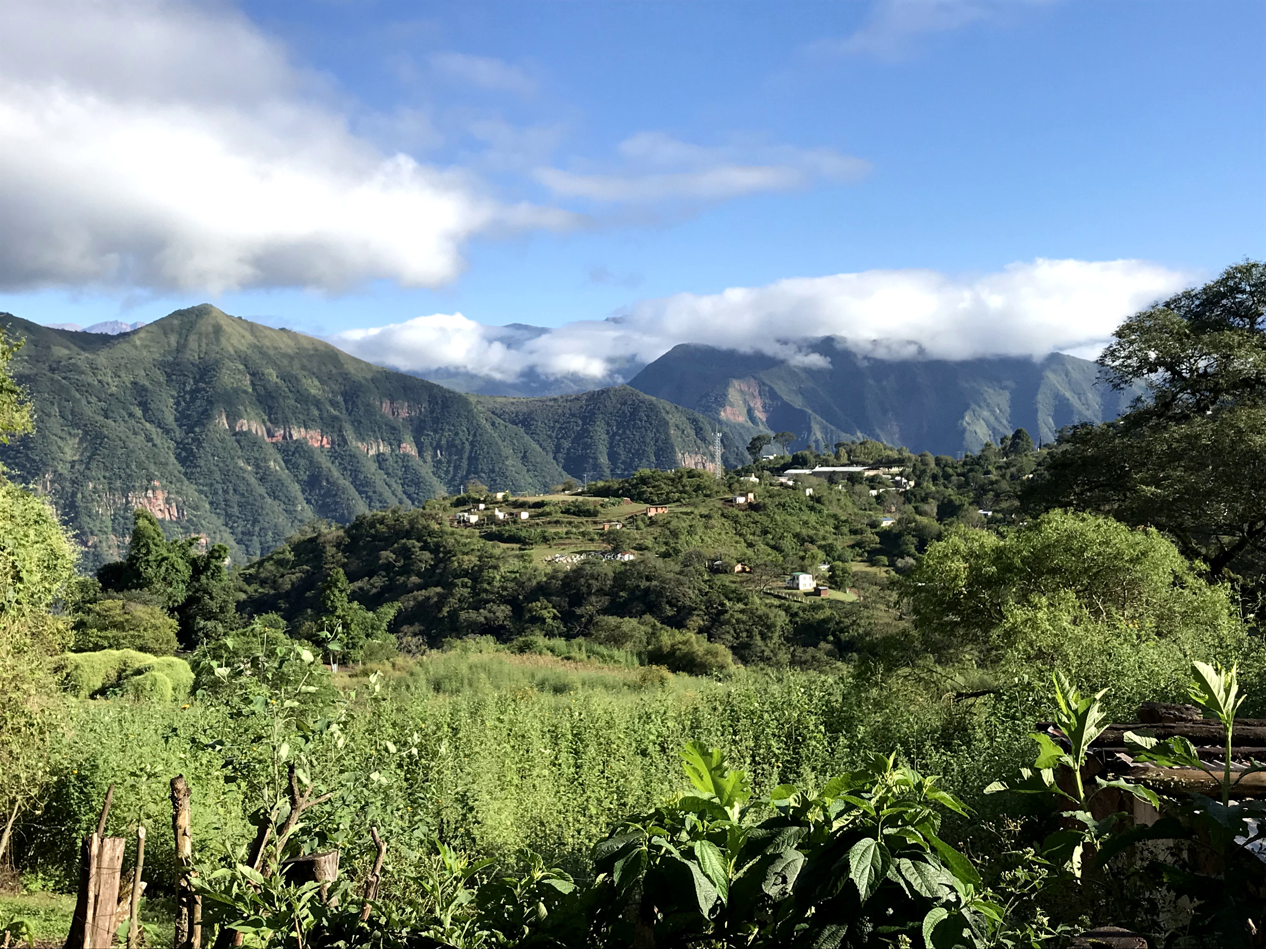 Termas de Río Jordán en las Yungas de Calilegua