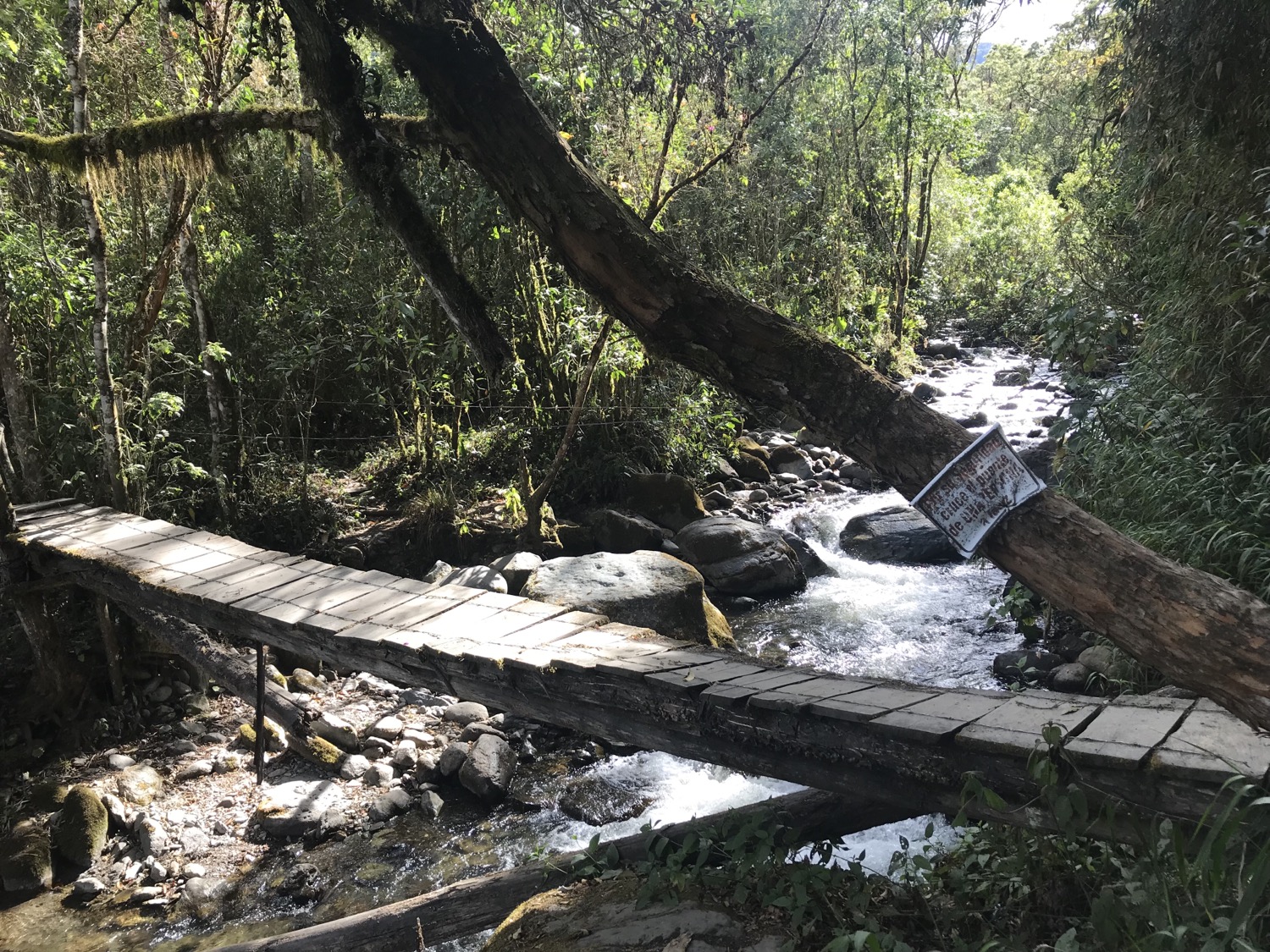 Aventura en el Valle del Cocora