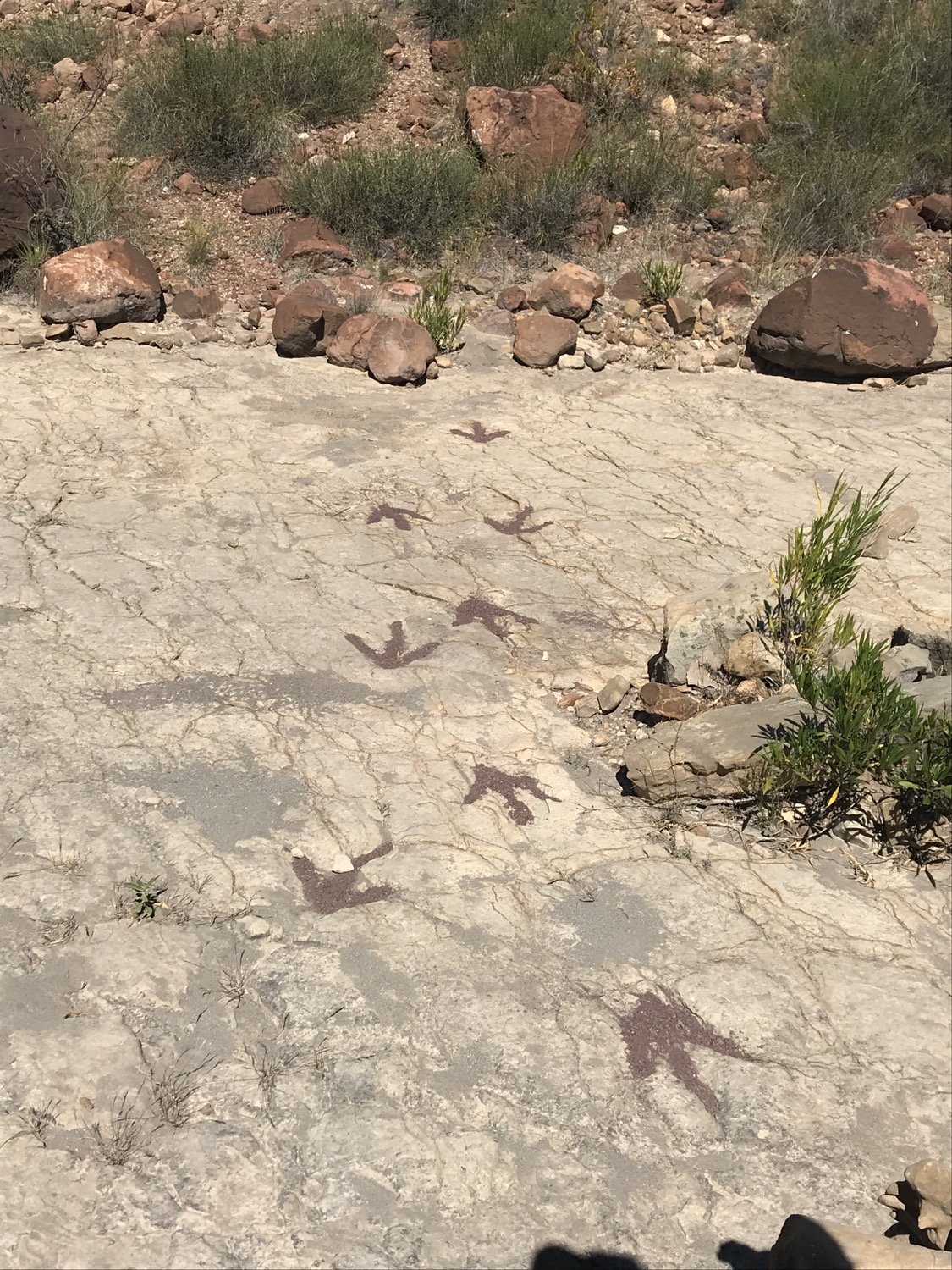 Torotoro (Bolivia), un tesoro aún no conocido