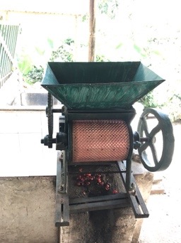 Aventura en el Valle del Cocora