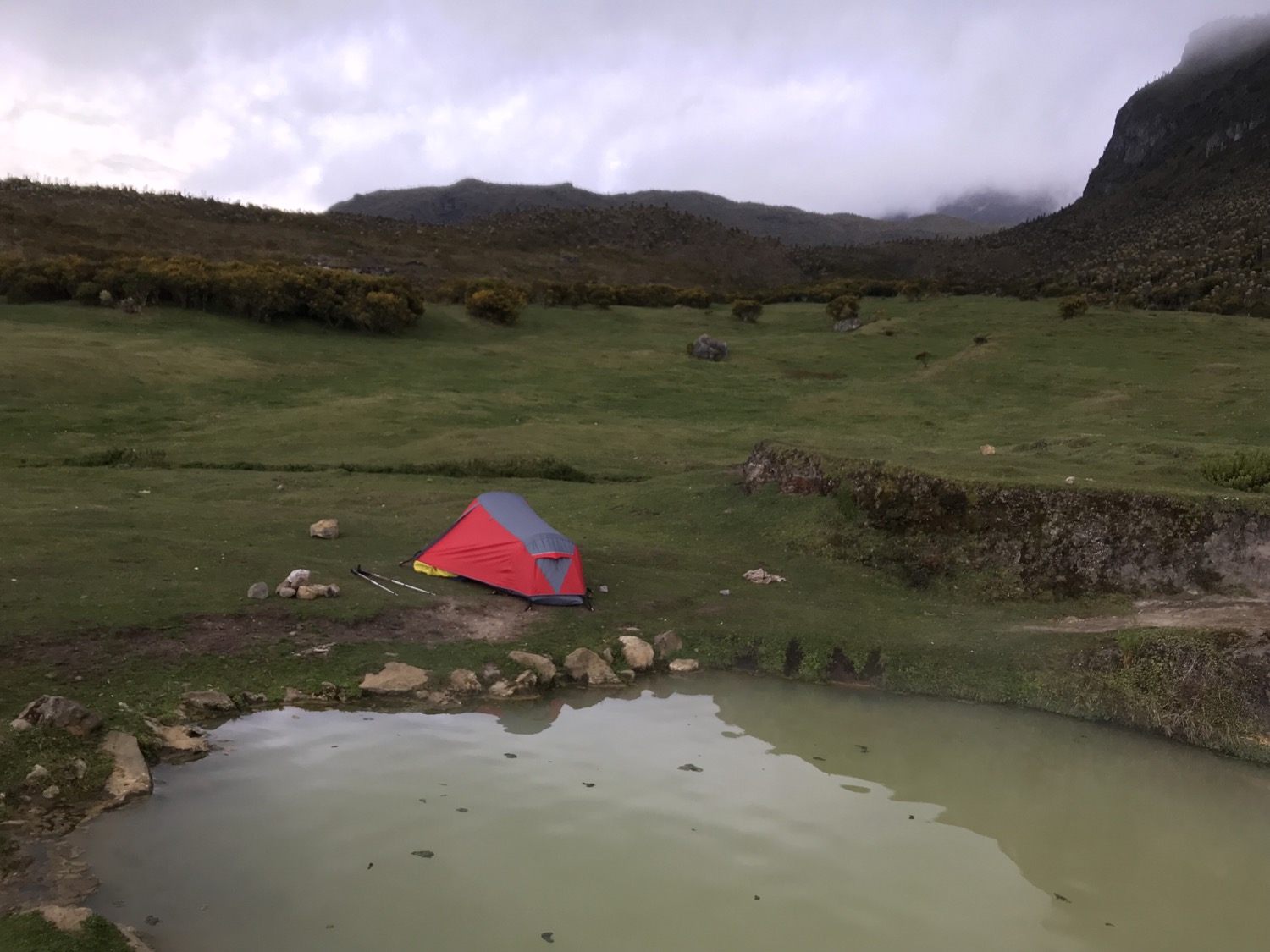 Aventura en el Valle del Cocora