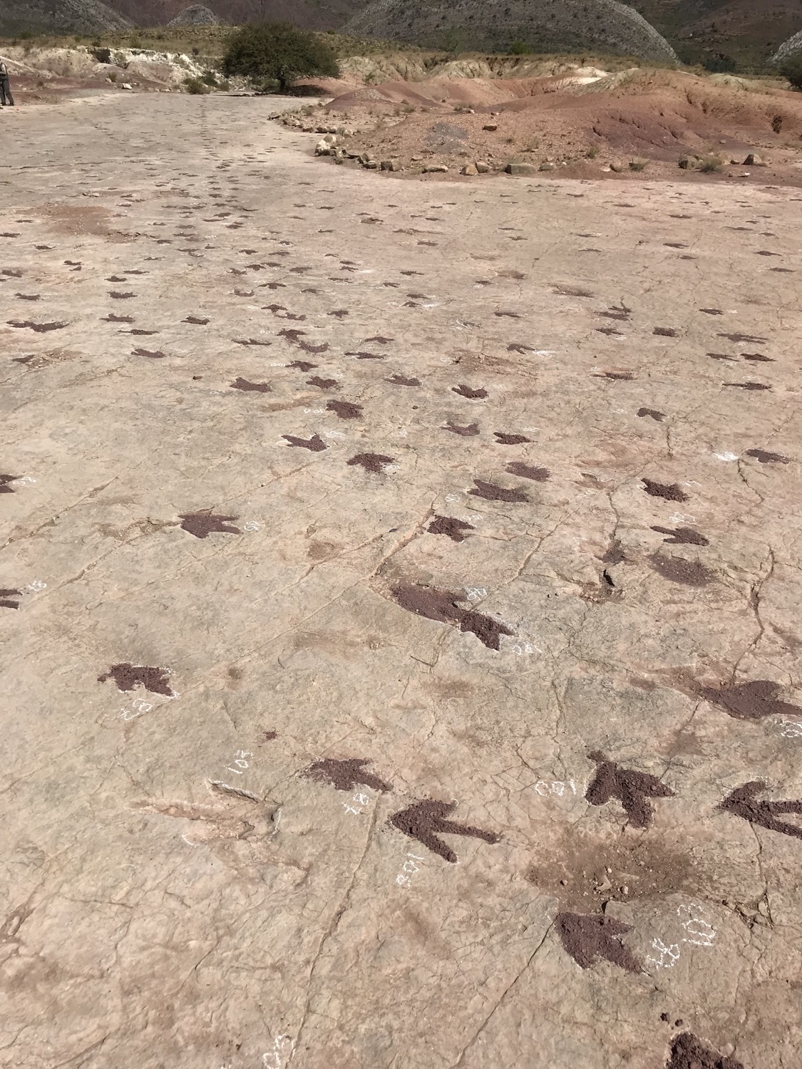 Torotoro (Bolivia), un tesoro aún no conocido