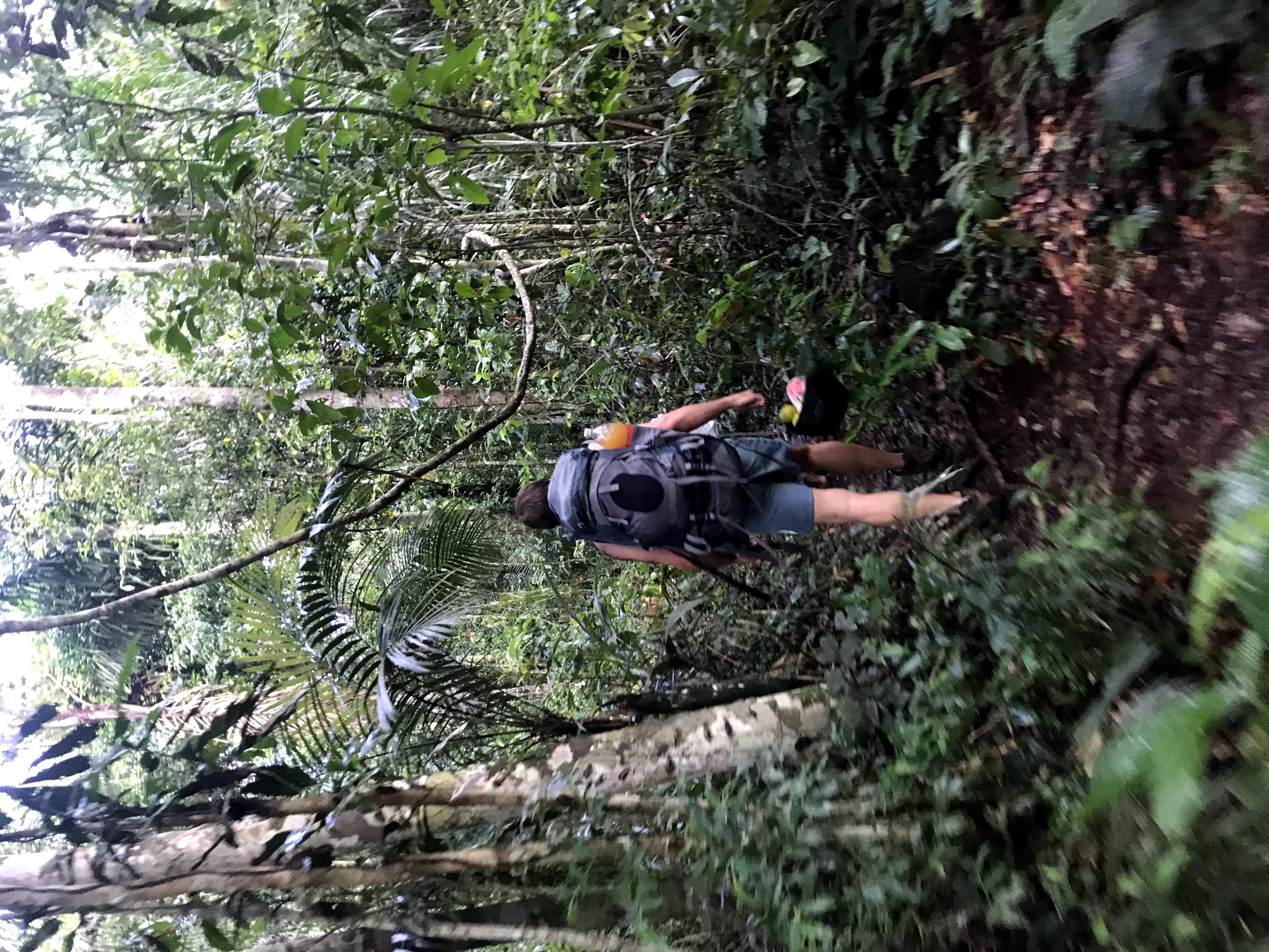 Sobreviviendo 4 días en el Amazonas