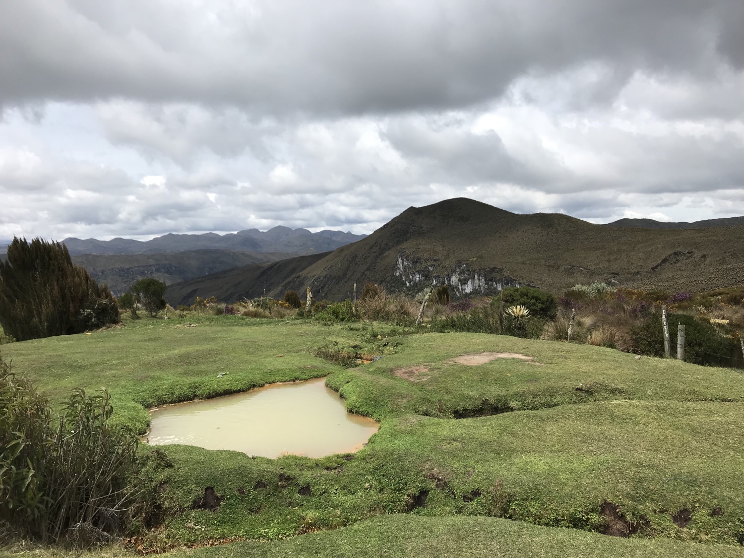 Aventura en el Valle del Cocora