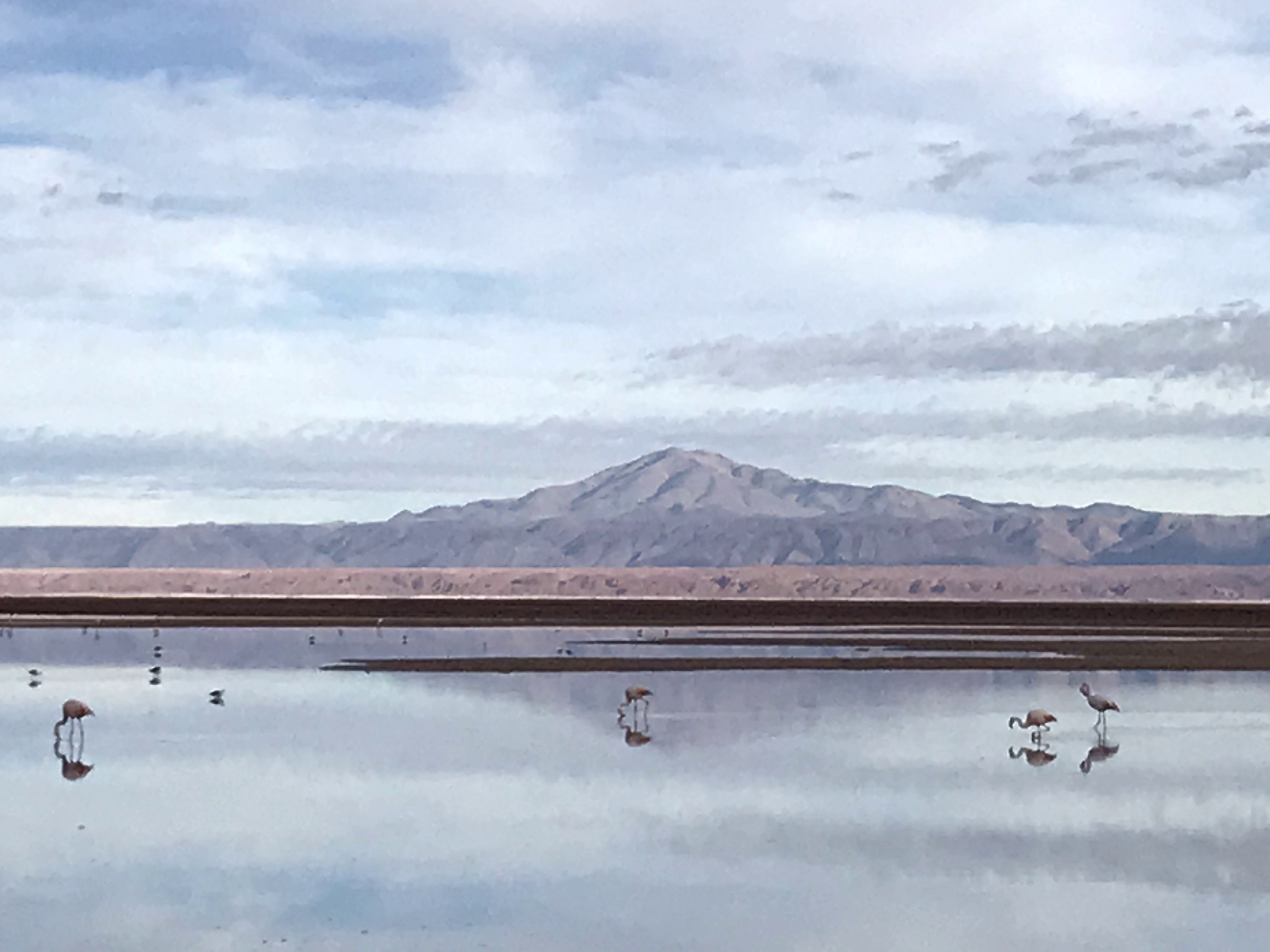 San Pedro de Atacama, estrellas y sandboarding!!
