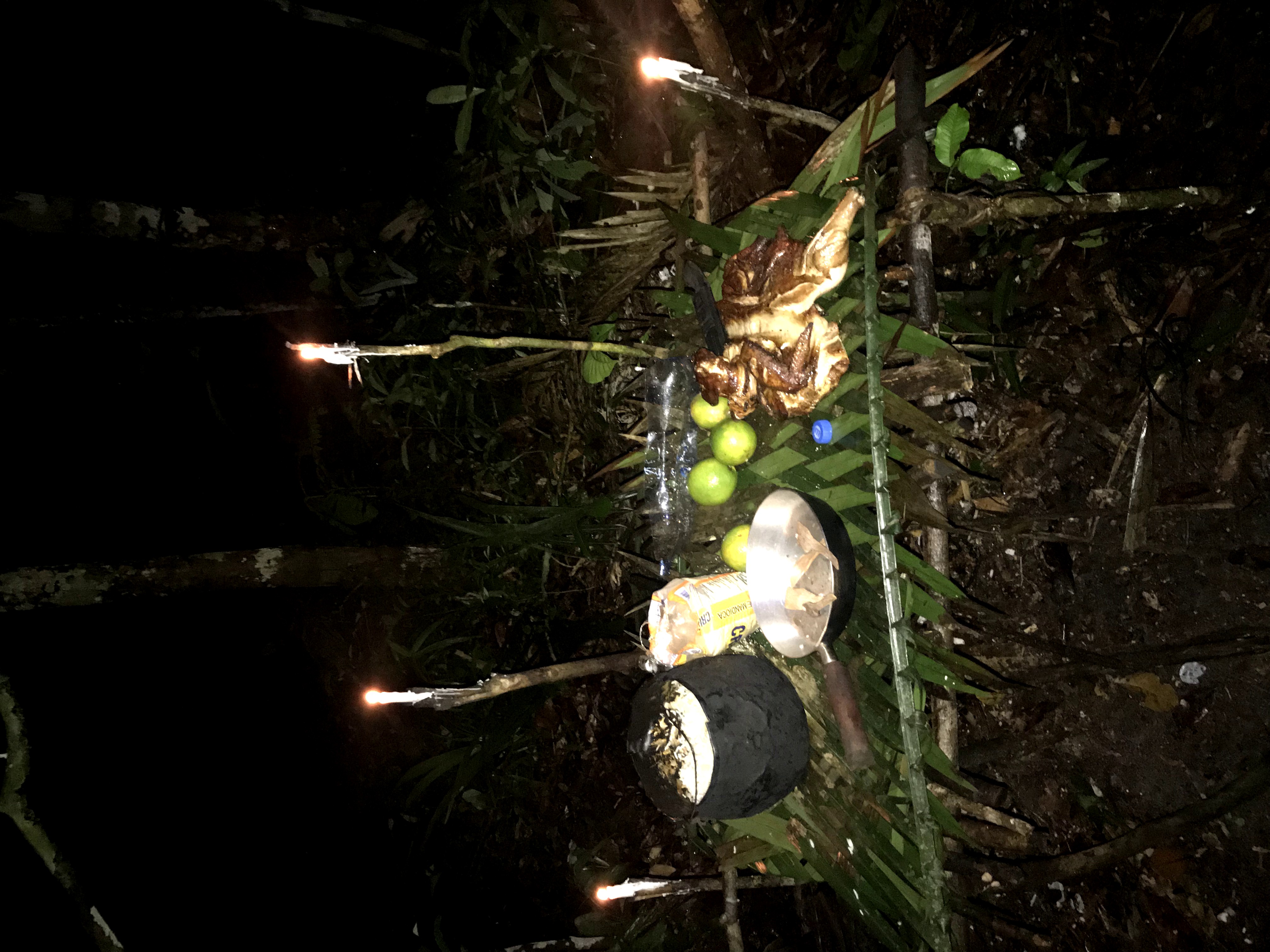 Sobreviviendo 4 días en el Amazonas