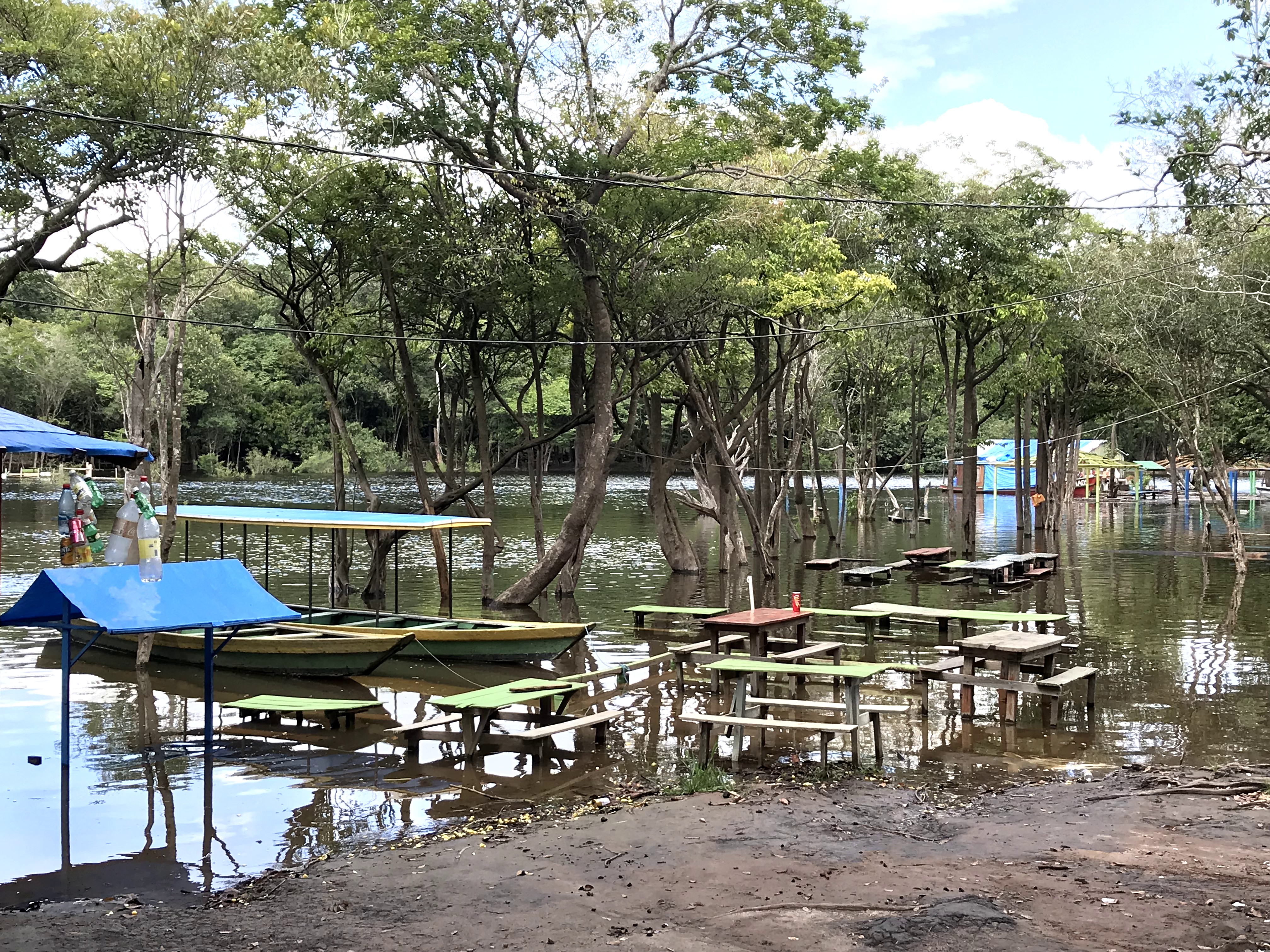 Sobreviviendo 4 días en el Amazonas