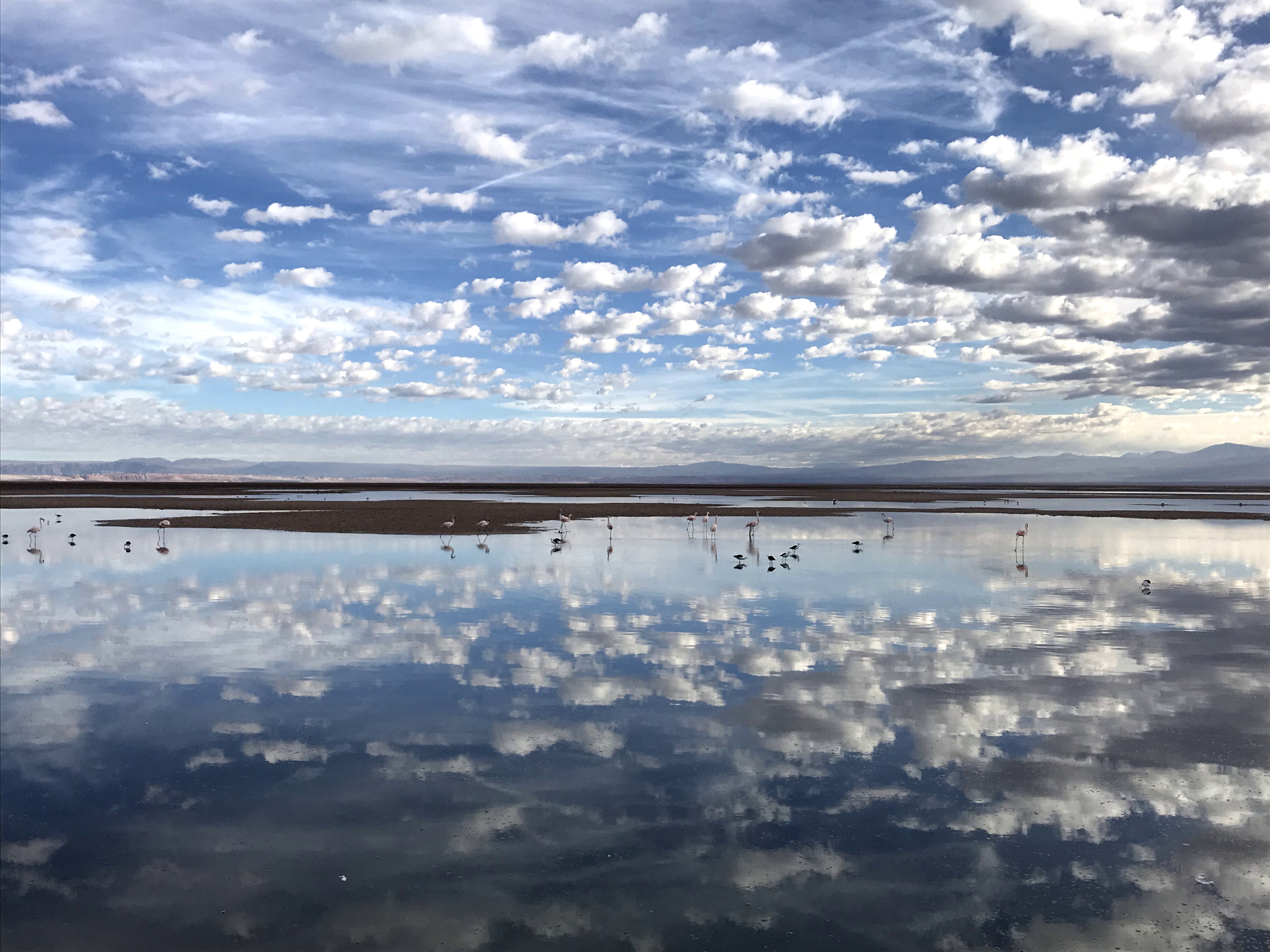 San Pedro de Atacama, estrellas y sandboarding!!