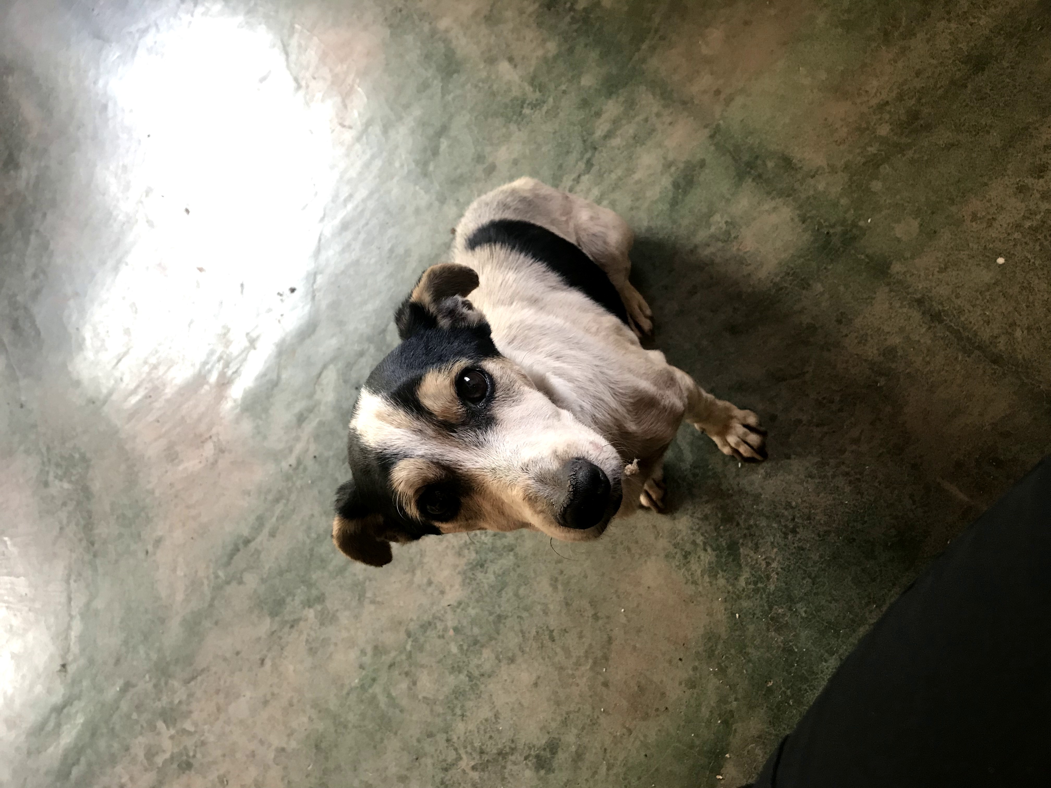 Termas de Río Jordán en las Yungas de Calilegua