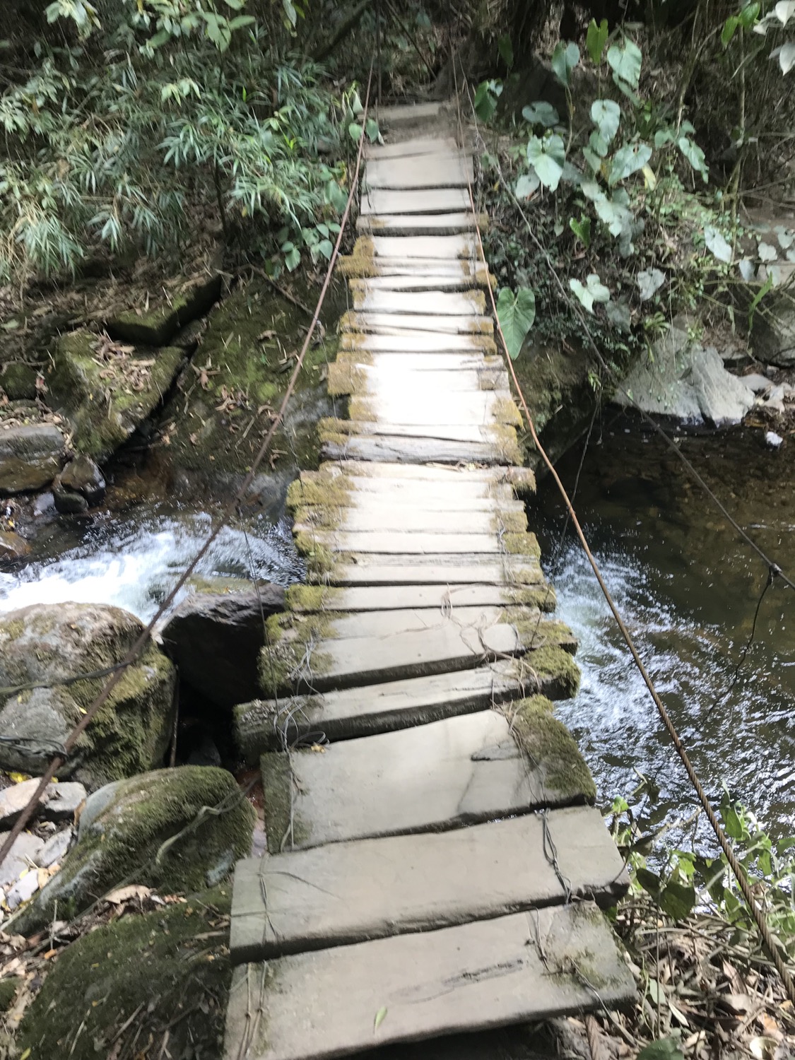 Aventura en el Valle del Cocora